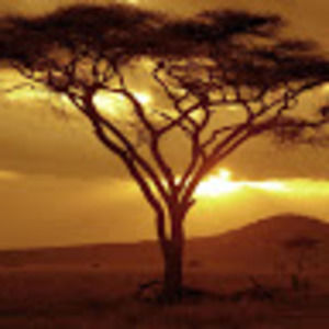 Meet your Posher, Sean